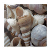 ロマンチックトロピカルエキゾチックシーシェルビーチラブ タイル (正面)