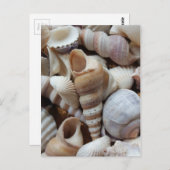 ロマンチックトロピカルエキゾチックシーシェルビーチラブ ポストカード (正面/裏面)