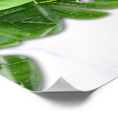 ロマンチックトロピカルメニューポスター ポスター (角)