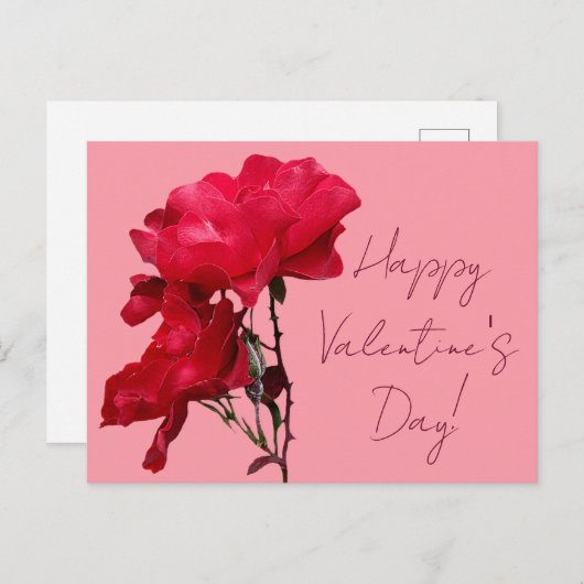 ロマンチックハッピーバレンタインレッドローズフラワーズフローラ ポストカード (正面/裏面)