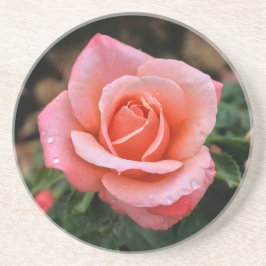 ロマンチックバラ植物芸術プリント コースター