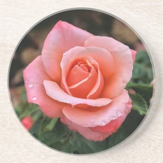 ロマンチックバラ植物芸術プリント コースター (正面)