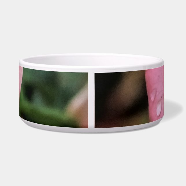 ロマンチックバラ植物芸術プリント ボウル (裏面)