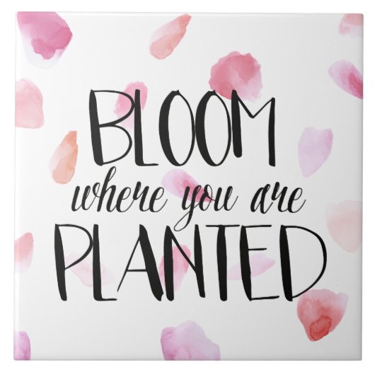 ロマンチックバラ花びら開花 タイル (正面)