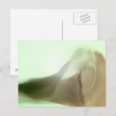 ロマンチックフラワー詳細 ポストカード (正面/裏面)