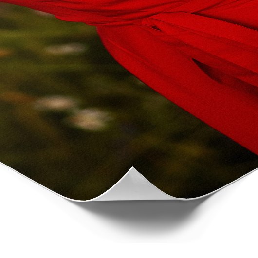 ロマンチックモダンな写真エレガントな結婚式 ポスター (角)