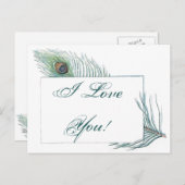 ロマンチックラブ引用文感動的孔雀 ポストカード (正面/裏面)