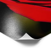 ロマンチックレッドローズ フォトプリント            (角)