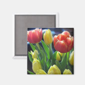 ロマンチックレッド&イエローチューリップフラワーズ冷蔵庫用マグネット マグネット (正面/裏面)