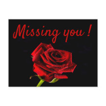 ロマンチック恋しく思な赤いバラの写真