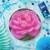 ロマンチック ピンク ローズ 'レオナルド ダ ヴィンチ'   ペーパープレート (パーティー)