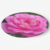 ロマンチック ピンク ローズ 'レオナルド ダ ヴィンチ'   ペーパープレート (アングル)