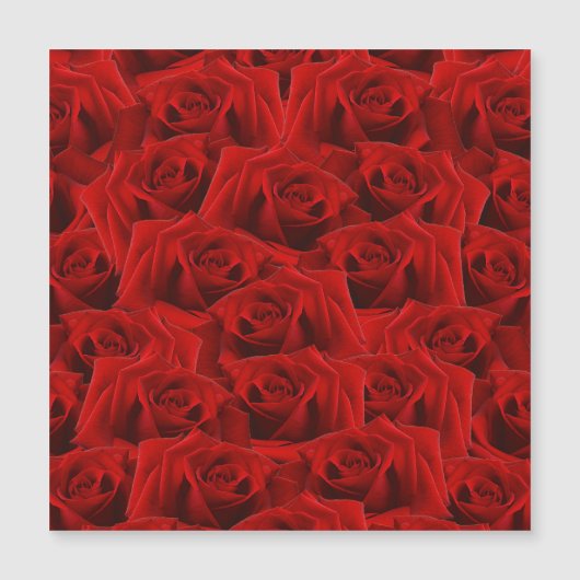 ロマンチック レッド ローズ (正面)