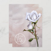 ロマンティックなソフトホワイトローズ エレガントなセーブ・ザ・デート 案内ポストカード (正面/裏面)