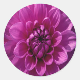 ロマンティックなバラの花 ラウンドシール