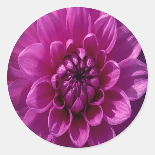 ロマンティックなバラの花 ラウンドシール (正面)