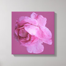 ロマンティックなピンクのバラ モダンフラワーボヘミアン シックファンシー