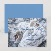 ロマンティックな冬の湖 白いスワンのウェディング 案内ポストカード (正面/裏面)