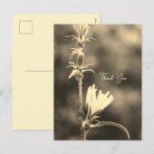 ロマンティックな樹々と花々 - 植物の幻想詩  シーズンポストカード (正面/裏面)