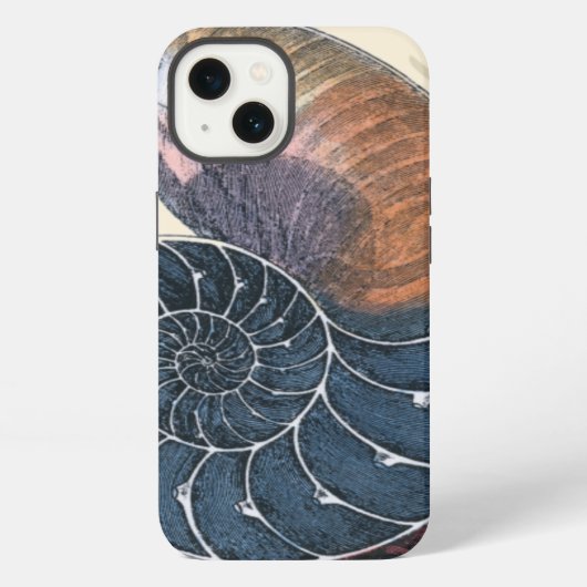 ロマンティックな貝殻 iPhoneケース (裏面)