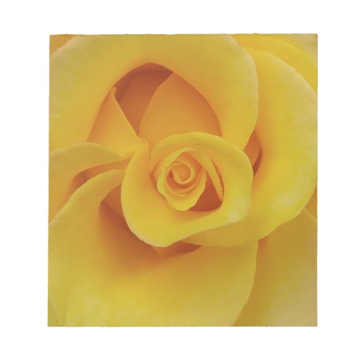 ロマンティックな黄色いバラの花びら ノートパッド (正面)