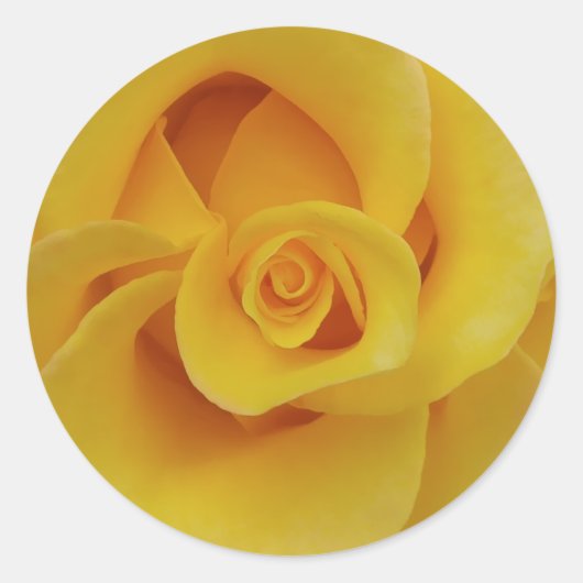 ロマンティックな黄色いバラの花びら ラウンドシール (正面)
