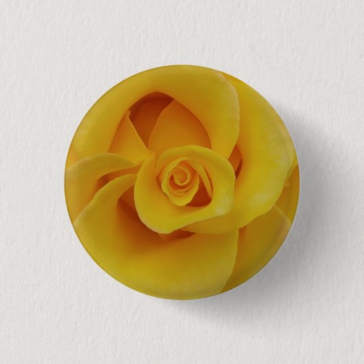 ロマンティックな黄色いバラの花びら 缶バッジ (正面)