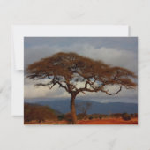 ロマンティックサファリアフリカブライダルシャワー 招待状 (裏面)