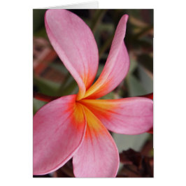 ロマンティックデートの花開くRSVPカラフルなシック