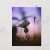 ロマンティック フラワーズ ボーホー – ボタニカル ファンタジー サンクス ポストカード (正面/裏面)