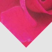 ロマンティック レッド ピンク ローズ v2 薄葉紙 (詳細)