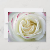 ロマンティック ローズ ブルームズ ブライダル シャワー 招待状 (裏面)