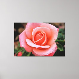 ロマンティック ローズ ボタニカル アート プリント