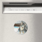 ロミオサークル磁石 マグネット (インサイチュ (食洗機))