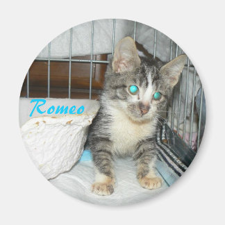 ロミオサークル磁石 マグネット