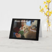 ロミオ猫のハッピーバースデーカード カード (黄色い花)