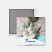 ロミオ磁石 マグネット (正面/裏面)