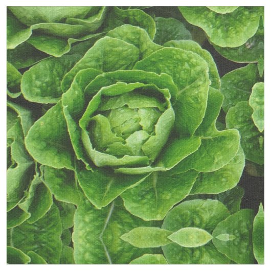 ロメイン・レタスの写真の生地 ファブリック (クローズアップ)