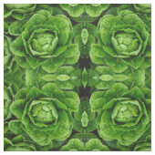 ロメイン・レタスの写真の生地 ファブリック (見本)