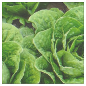 ロメイン・レタス分野の写真の生地 ファブリック (クローズアップ)