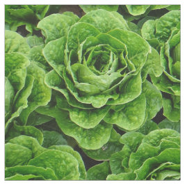 ロメイン・レタス分野の写真の生地 ファブリック