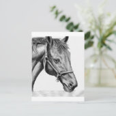 ロメオ ポストカード (スタンド正面)