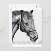 ロメオ ポストカード (正面/裏面)