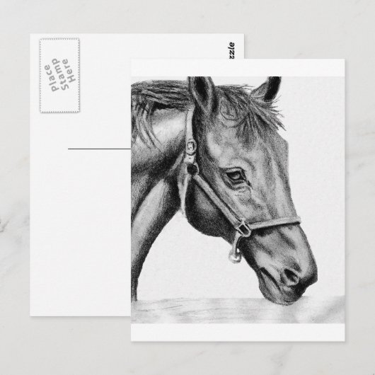 ロメオ ポストカード (正面/裏面)