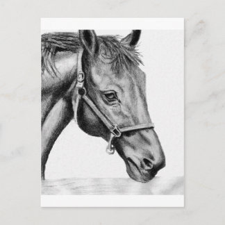 ロメオ ポストカード