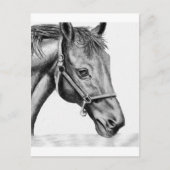 ロメオ ポストカード (正面)