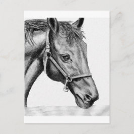 ロメオ ポストカード