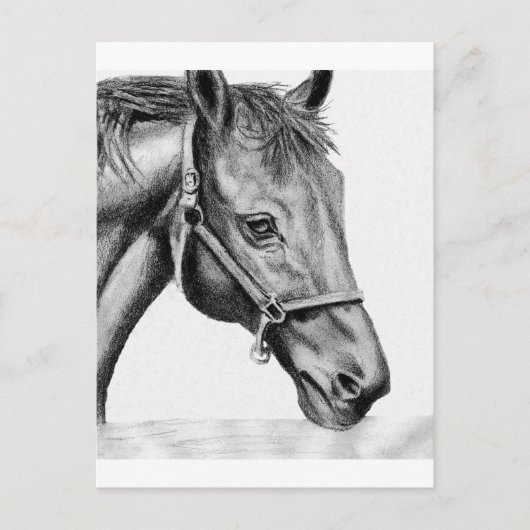 ロメオ ポストカード (正面)