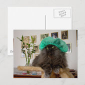 ロメオ ポストカード (正面/裏面)