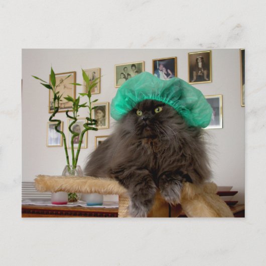 ロメオ ポストカード (正面)